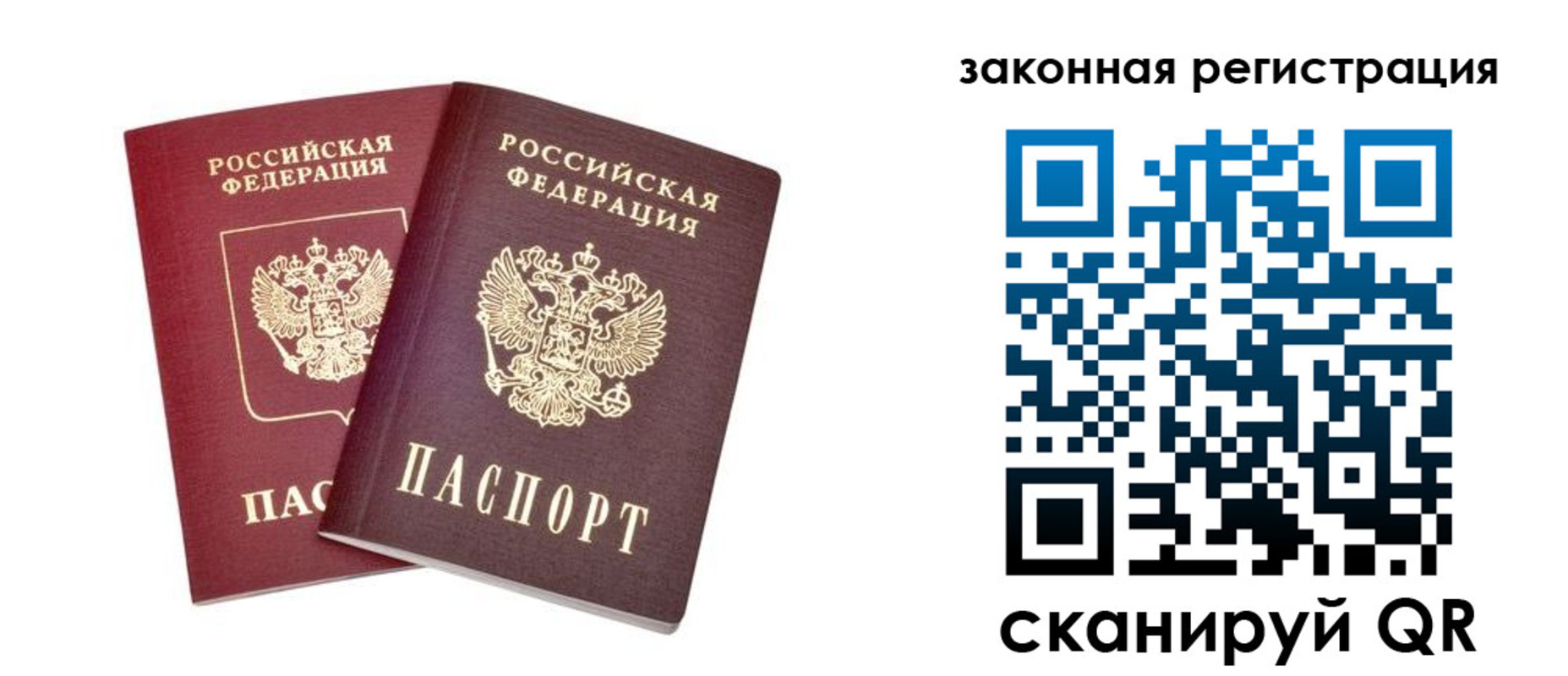 прописка поиск в Тольятти